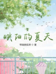 映阳的夏天